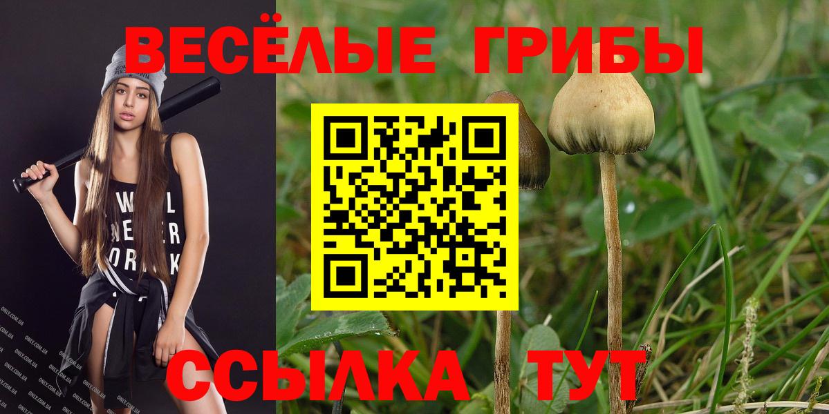 Галлюциногенные грибы прущие грибы Миасс