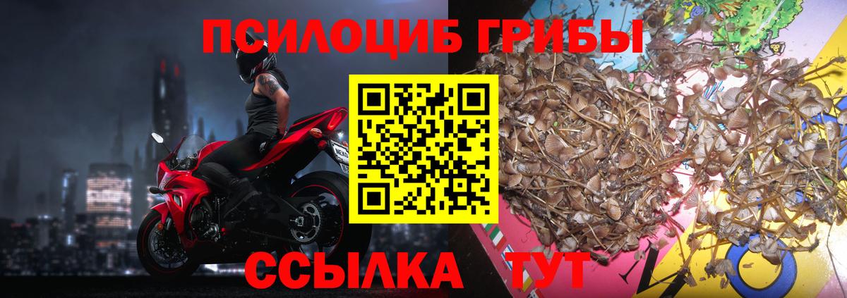 продажа наркотиков  Вход с VPN  Миасс  Галлюциногенные грибы ЛСД  Галлюциногенные грибы Magic Shrooms 